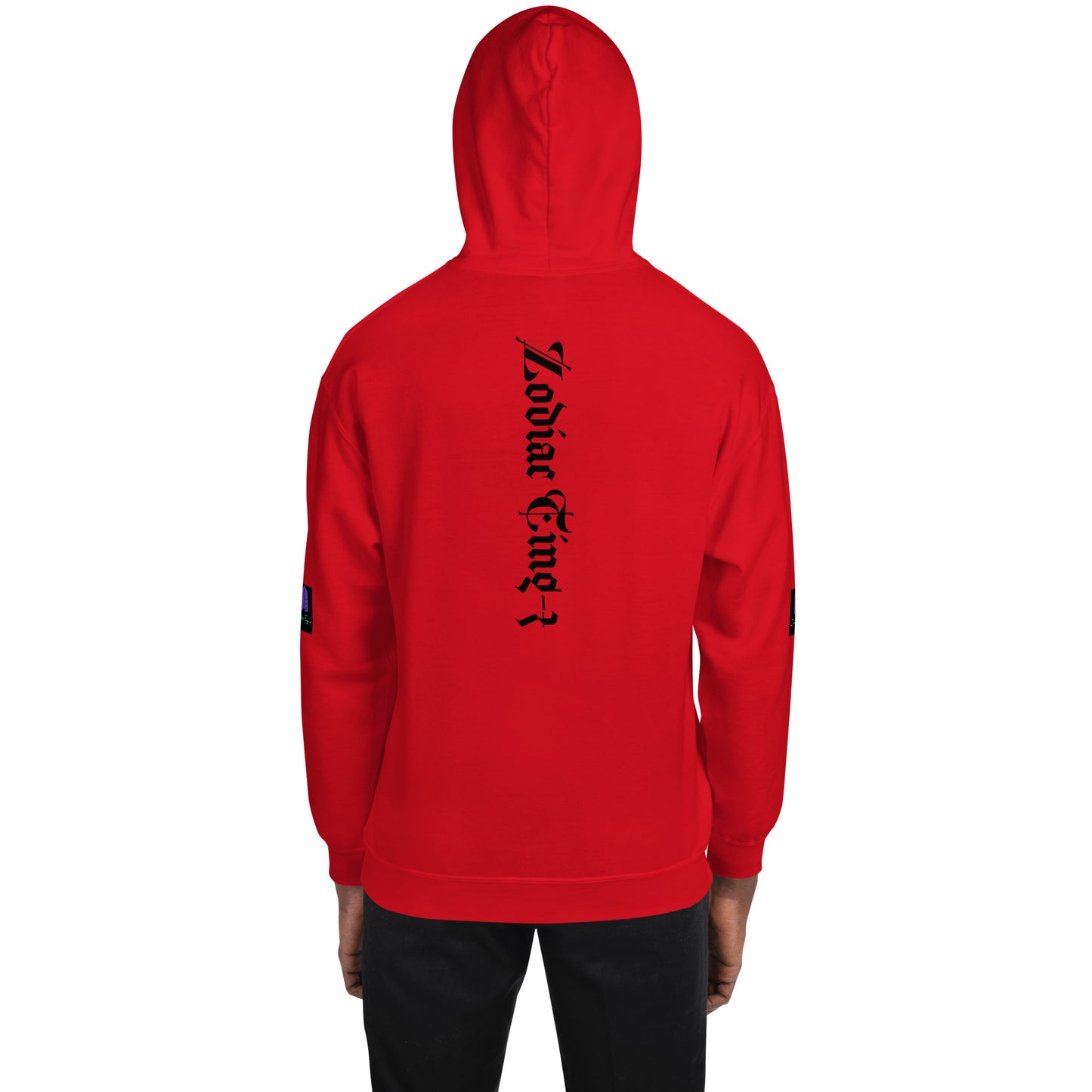 Sexiest Aquarius Hoodie